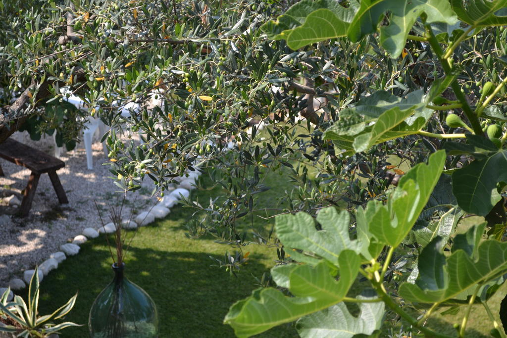 Giardinotto Casa Vacanze Altino  ภายนอก รูปภาพ